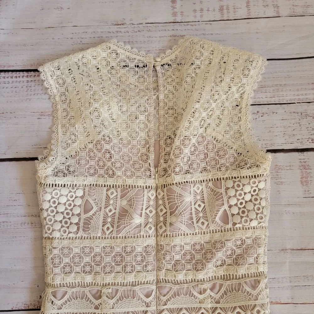 Karen Millen Beige Lace Midi Dress - Picture 6 of 7